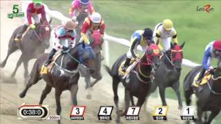 20161002 렛츠런파크 부산경남 5경주 1400m