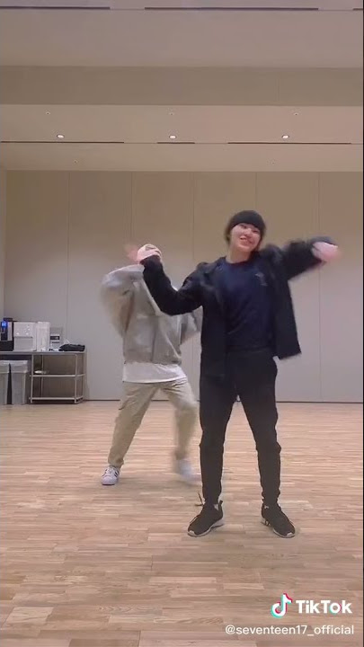 Seventeen Hoshi And Woozi Side by Side Challenge on Tiktok