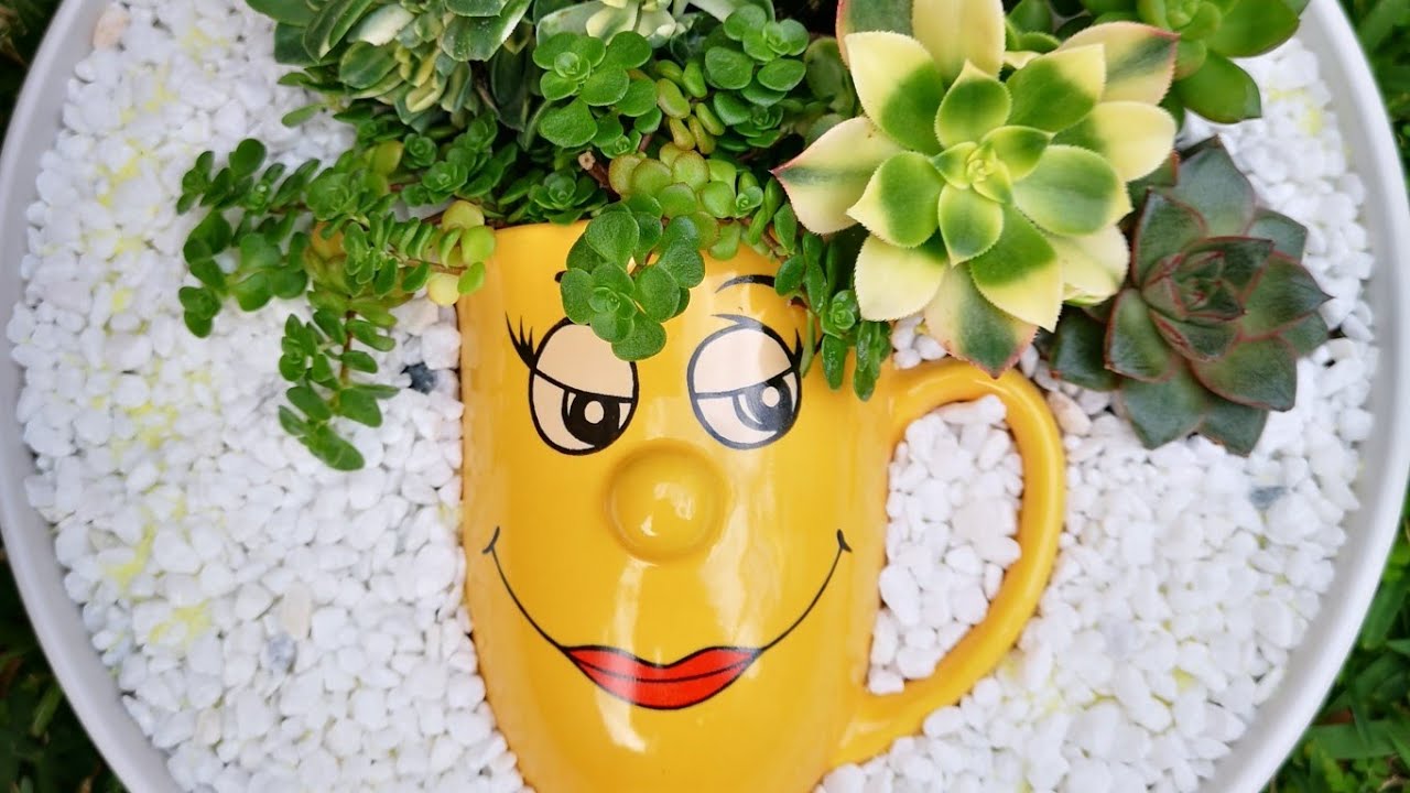 Succulent arrangement (dishgarden) #succulentarrangements #dishgarden #
