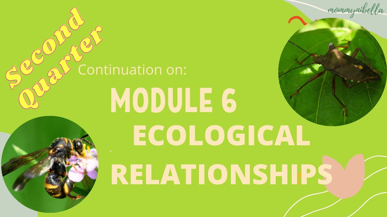 ECOLOGICAL RELATIONSHIPS- SECOND QUARTER