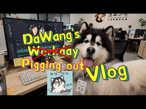 大王工作Vlog~【阿盆姐家的大王】