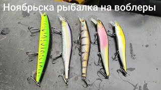 картинка: ловля щуки в ноябре на воблеры. Беларусь, Гродно #berking #orbit #щука #рыбалка