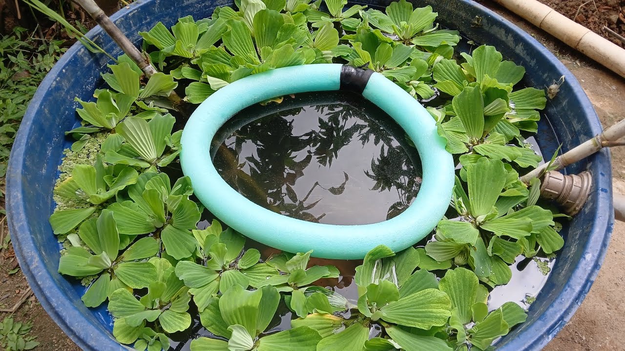 Olá bora assistir! Sistema autociclante gupps - YouTube