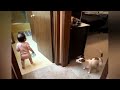Dog Plays Tag With Toddler And Goes Viral Dog Plays Tag With Toddler And Goes Viral