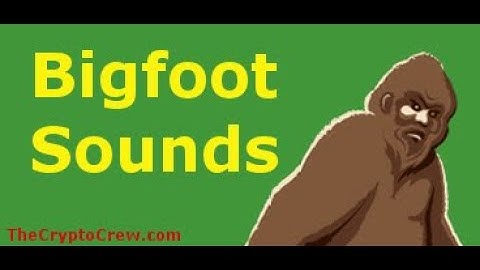 Possible Bigfoot Sounds Recorded in Mississippi | Enhancement