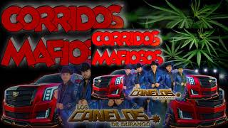 ☆☆corridos mafiosos ✴️ los canelos de durango