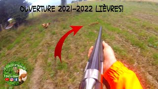 Ouverture 2021 Aux Lièvres Chasse Petit Gibier Au Chien Darrêt