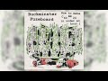Buckminster fuzeboard  how to make c60 br24 in under an hour full album 1998