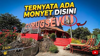 Di Wisata Curug Sewu Sukorejo Kendal Ada Monyetnya Tapi Tidak Galak