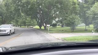 Timeless Tranquility Drive