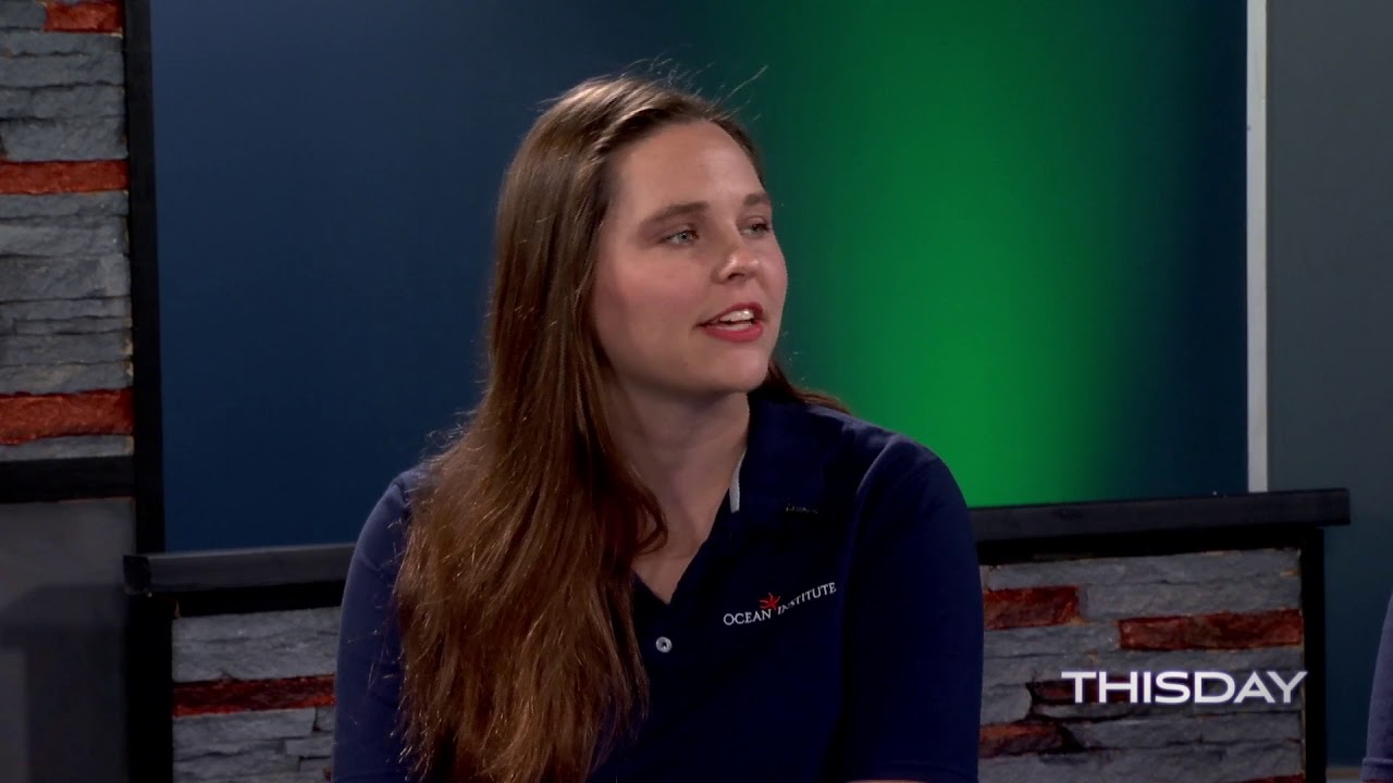 laguna woods village rentals Ocean Institute, Dana Point Harbor