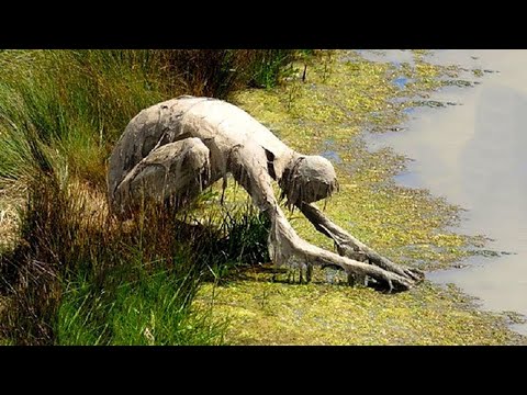 РЕАЛЬНЫЕ КАДРЫ НЕОПОЗНАННОГО. ШОКИРУЮЩЕЕ ВИДЕО. МИСТИКА И ПАРАНОРМАЛЬНОЕ