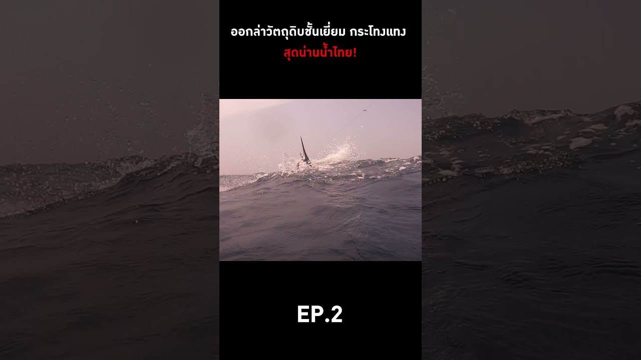 ออกล่าวัตถุดิบชั้นเยี่ยม กระโทงแทง สุดน่านน้ำไทย!  #ดีเจภูมิ #djpoom