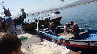 Puerto de Coquimbo, Chile 2017
