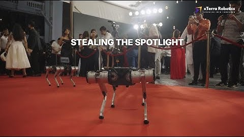 Robot Dog Walks the Red Carpet in Mumbai | AI Film Festival Mumbai 2025