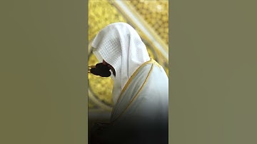 ما تيسر من سورة القصص | تلاوة فضيلة الشيخ د.#عبدالمحسن_القاسم