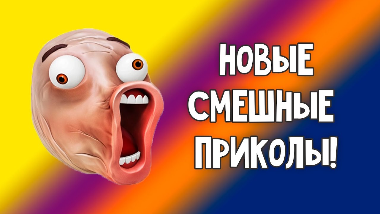 интересные факты о причастии. интересные факты о причастиях и деепричастиях. одноклассники приколы 2019. коты дерутся. приколы с котами.