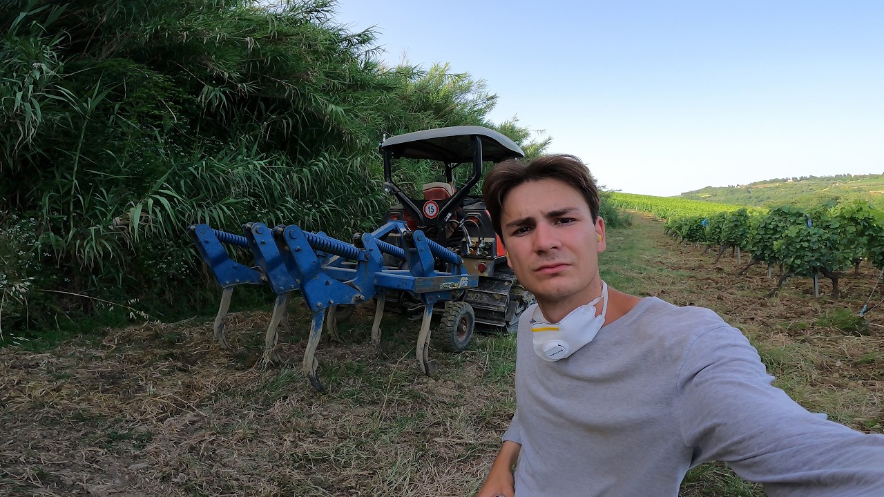 ESTIRPIAMO IL VIGNETO CON IL POTENTE SAME KRYPTON 115CV! dopo un anno..