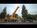 Neuroscience Preclinical Imaging Lab MRI Delivery