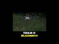 Kenapa Drone Ini Pakai Kaca? Simak Faktanya!