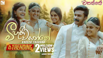 Meepani Wasanthe (මීපැණි වසන්තේ) | Raveen Tharuka | Wasanthe Movie Song | eTunes