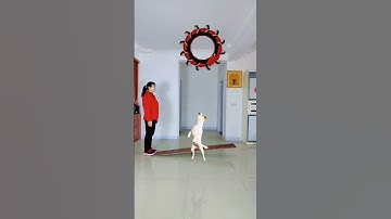 Simple Mobile Effects | Infinite Loop | Satisfying Video #shorts #relaxing #animation