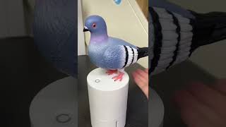 Amazon finds gadgets #kitchen #shop #shopping #hack are #home #house #decor have #viral #reels