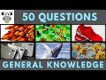 General Knowledge Quiz Trivia #38 | Pencil, Snakes & Ladders, Reebok, IPhone, Whale Leap, Divination