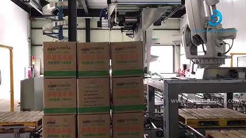 Automatic carton box robot hand sorting palletizing machine box stacking palletizer line