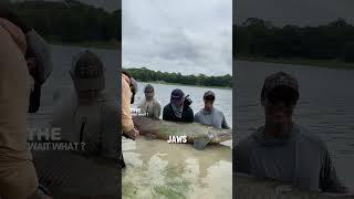 The Fastest Fish Attack in the World! 😱⚡