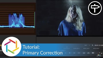 ColorFast: Primary Correction | Tutorial