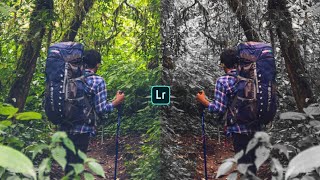 Cara edit foto lightroom android silver tone merubah warna daun ala selebgram #1 | warna perak screenshot 4