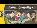 Animal Camouflage | Science | Animals | Little Fox | Bedtime Stories