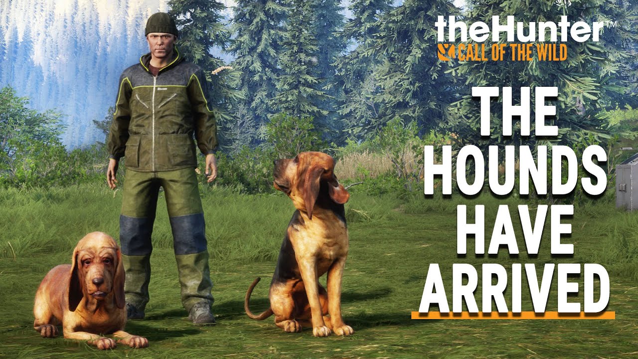 Bloodhound Dlc First Look Thehunter Call Of The Wild Youtube