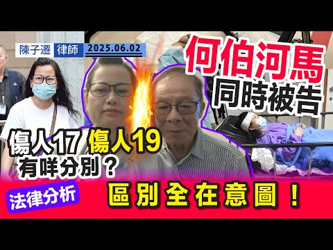 何伯河馬打鬥鬧劇|何伯最高刑罰係終身監禁 河馬最多只判3年?|定罪全在「意圖」!|TC法律分析:《傷人17》《傷人19》有何分別?|傷人定義 案例分析|法律|陳子遷律師 TC Chan Episode cover