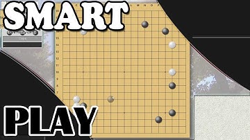 Bats Go Lecture - Playing Smart