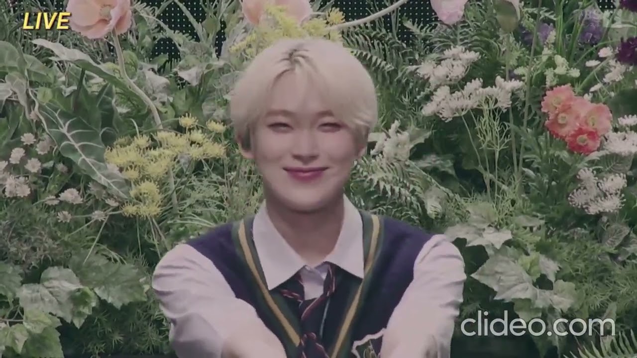 240612 Just a Little Bit +TFW + Orange Flower  #FATEPLUS_IN_SAITAMA_D2