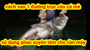 chia sẻ cho anh em, các làm 1 đường trục câu cá mè. sử dụng phao xuyên tâm cho cần máy #kythuatcauca