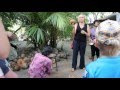 Экскурсия на реку Квай - Разделка кокоса