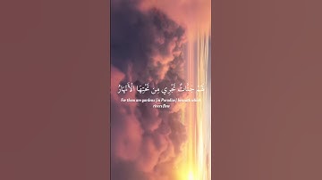 تلاوة بياتية للشيخ محمد أيوب رحمه الله