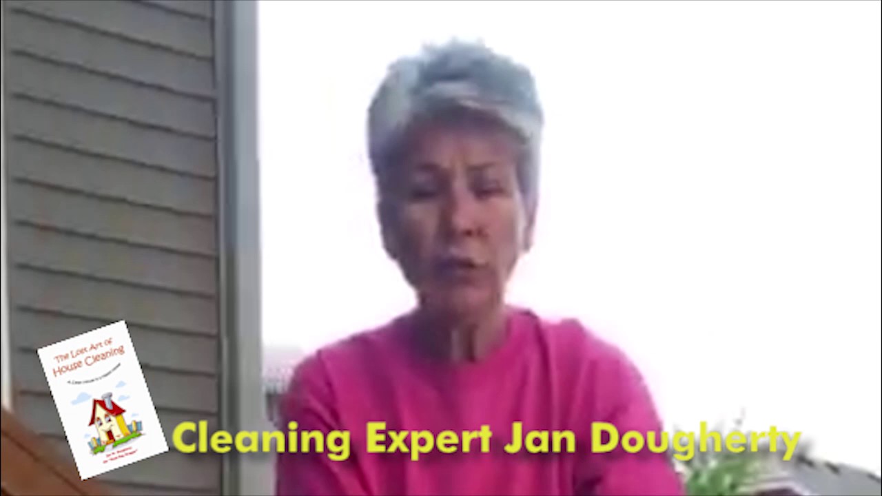 How to Clean a Silk House Plant YouTube