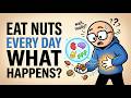 What Happens to Your Body When You Eat Nuts Every Day? (Science Explained)