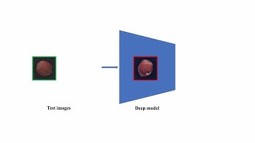 IEEE IES SYPA application - Network Pruning and Fine-tuning for Few-shot Anomaly Detection