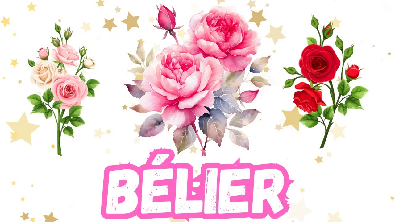 BELIER🎄 Une pluie d'argent arrive et un appel surprise de la personne que vous attendez 🎁✨