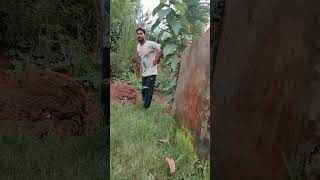 Boundary Jump 😀 #Funny #Shorts #Comedy  #memes #viral  #comedyvideos Wealth