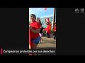 Trabajadores protestan por sus derechos y por la comunidad inmigrante en el Valle Central