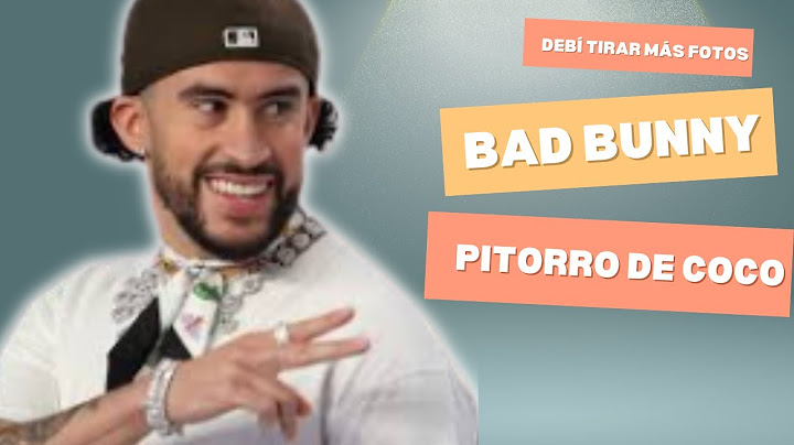 BAD BUNNY   PIToRRO DE COCO Visualizer  2025