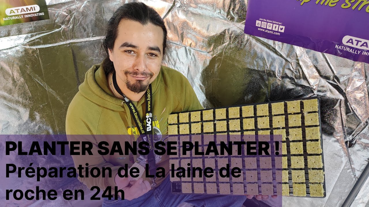 Planter sans se planter : la laine de roche !