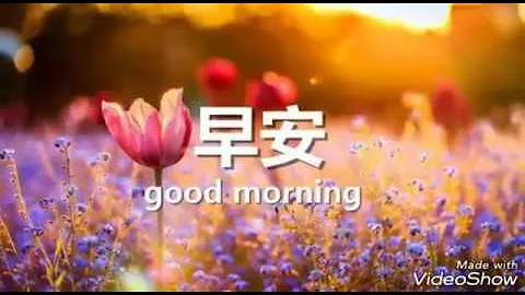 【早安 Good morning】祝大家有个满满活力的一天 - 天天要闻