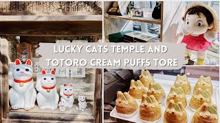 Visiting Lucky Cats Temple (Gotokuji) and Totoro Cream Puffs Store in Tokyo!